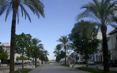Avenida Carlos III