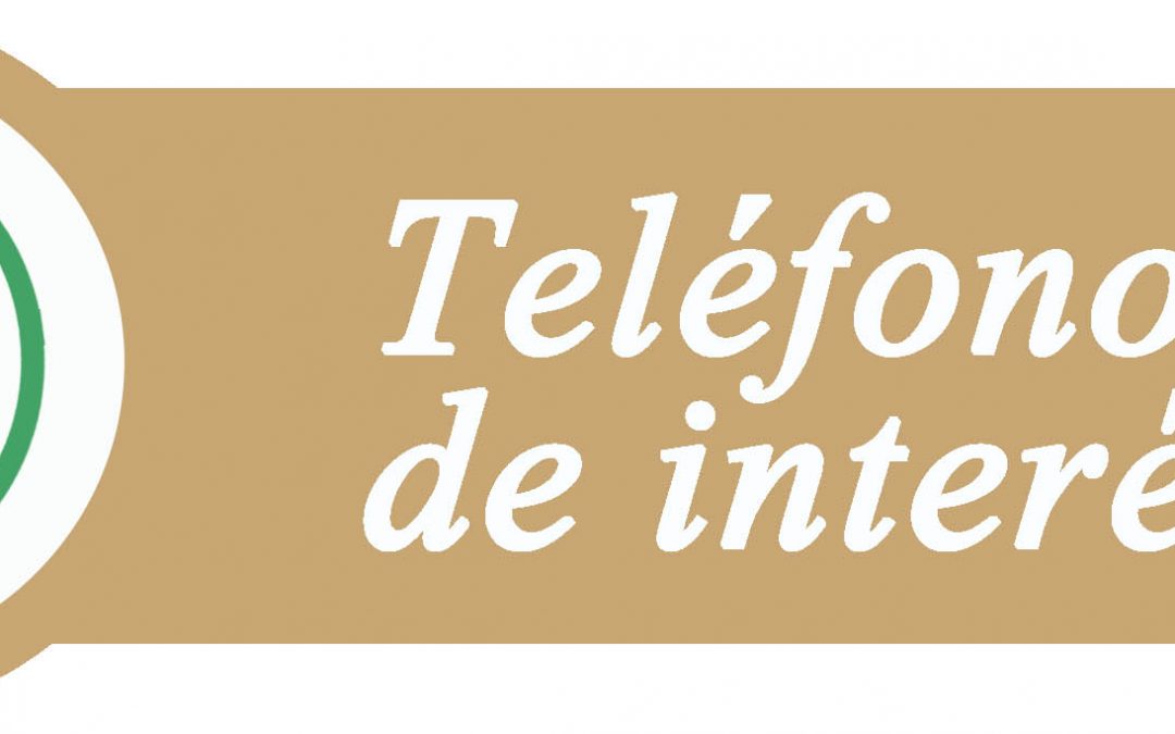 Teléfonos de interés