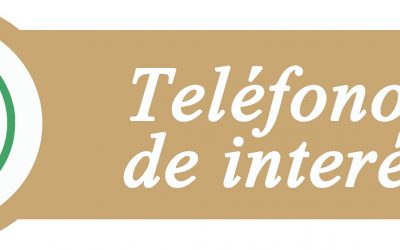 Teléfonos de interés