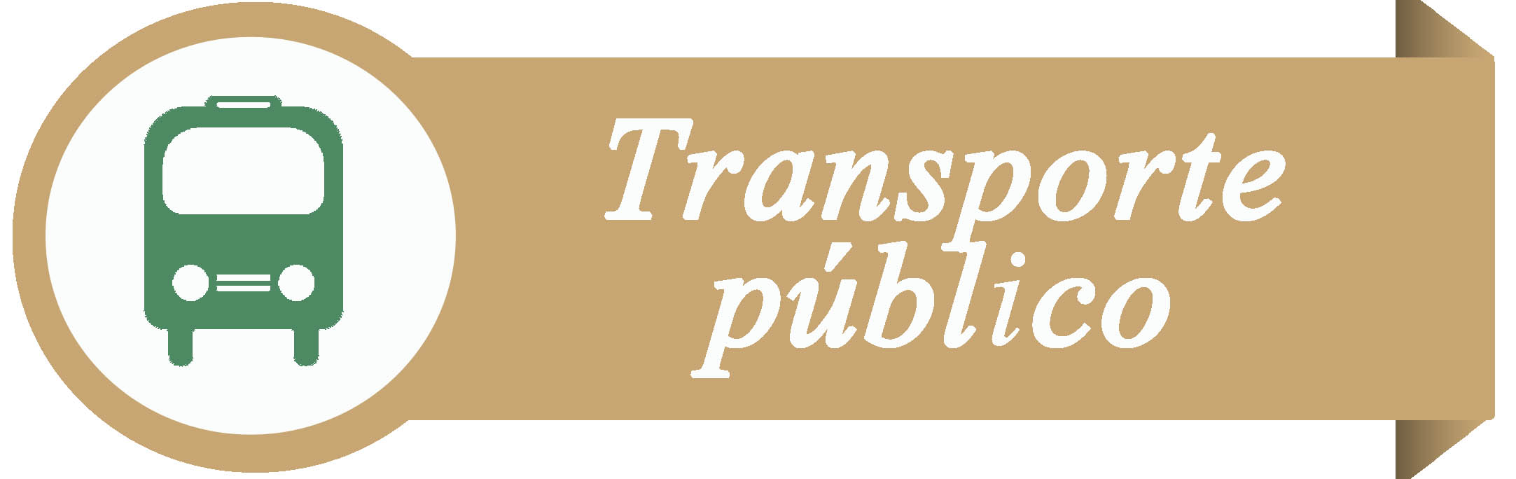 Servicio Transporte Público  1