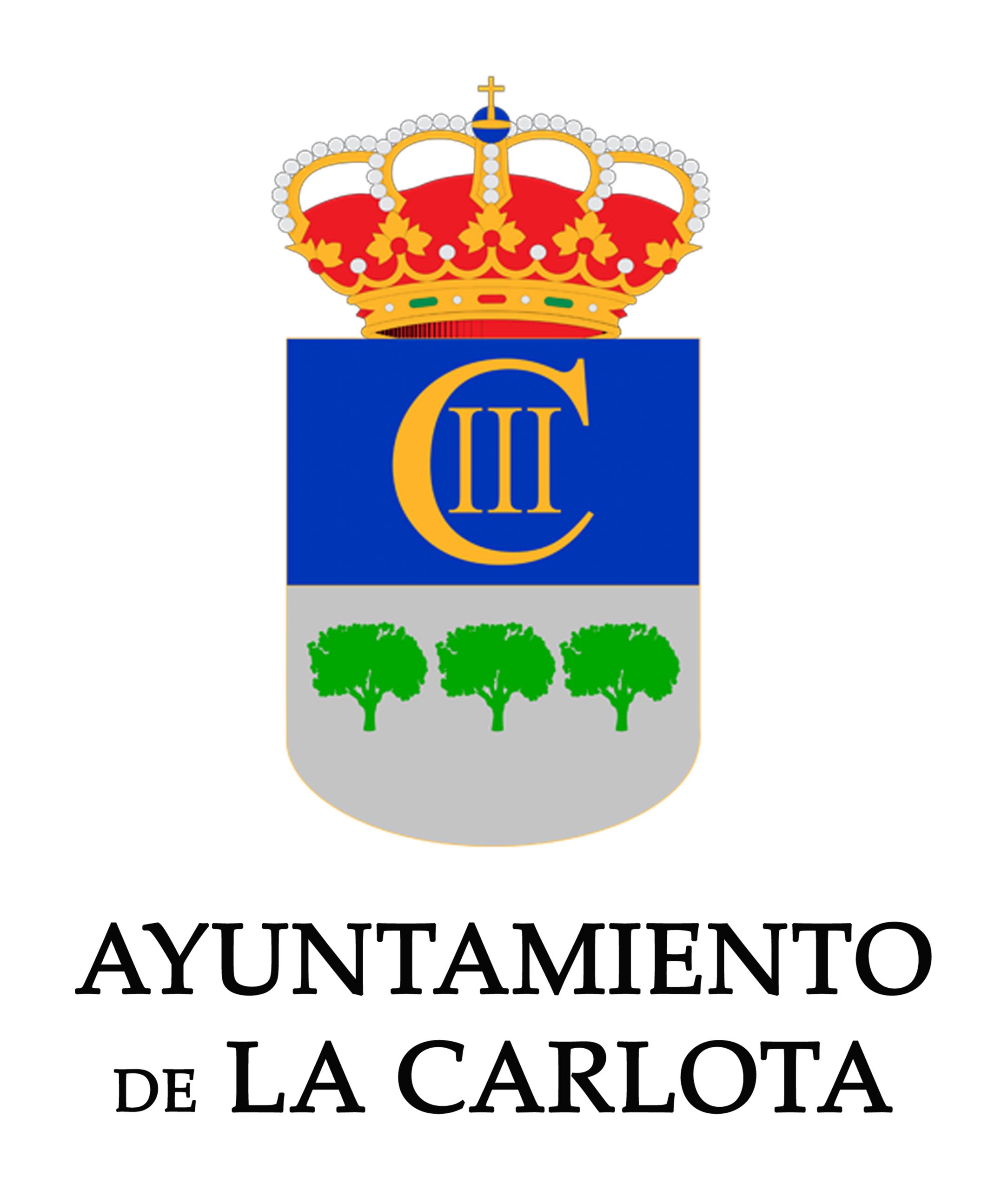 EL AYUNTAMIENTO RECIBE LA CONFIRMACIÓN DE UN QUINTO CASO DE CORONAVIRUS EN LA LOCALIDAD 1